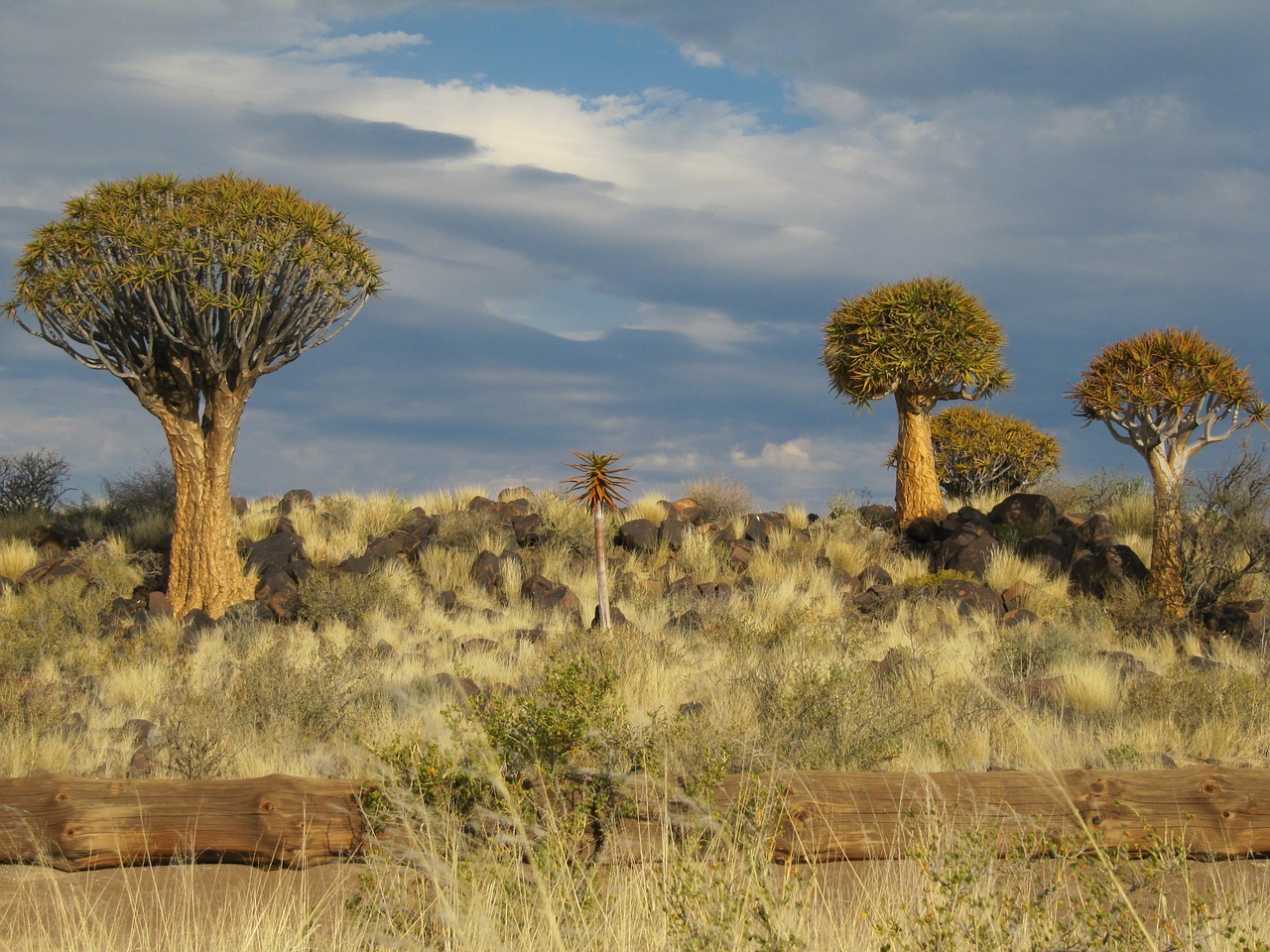 Namibija, Dykuma, Kalahari, Nemokamos Nuotraukos,  Nemokama Licenzija