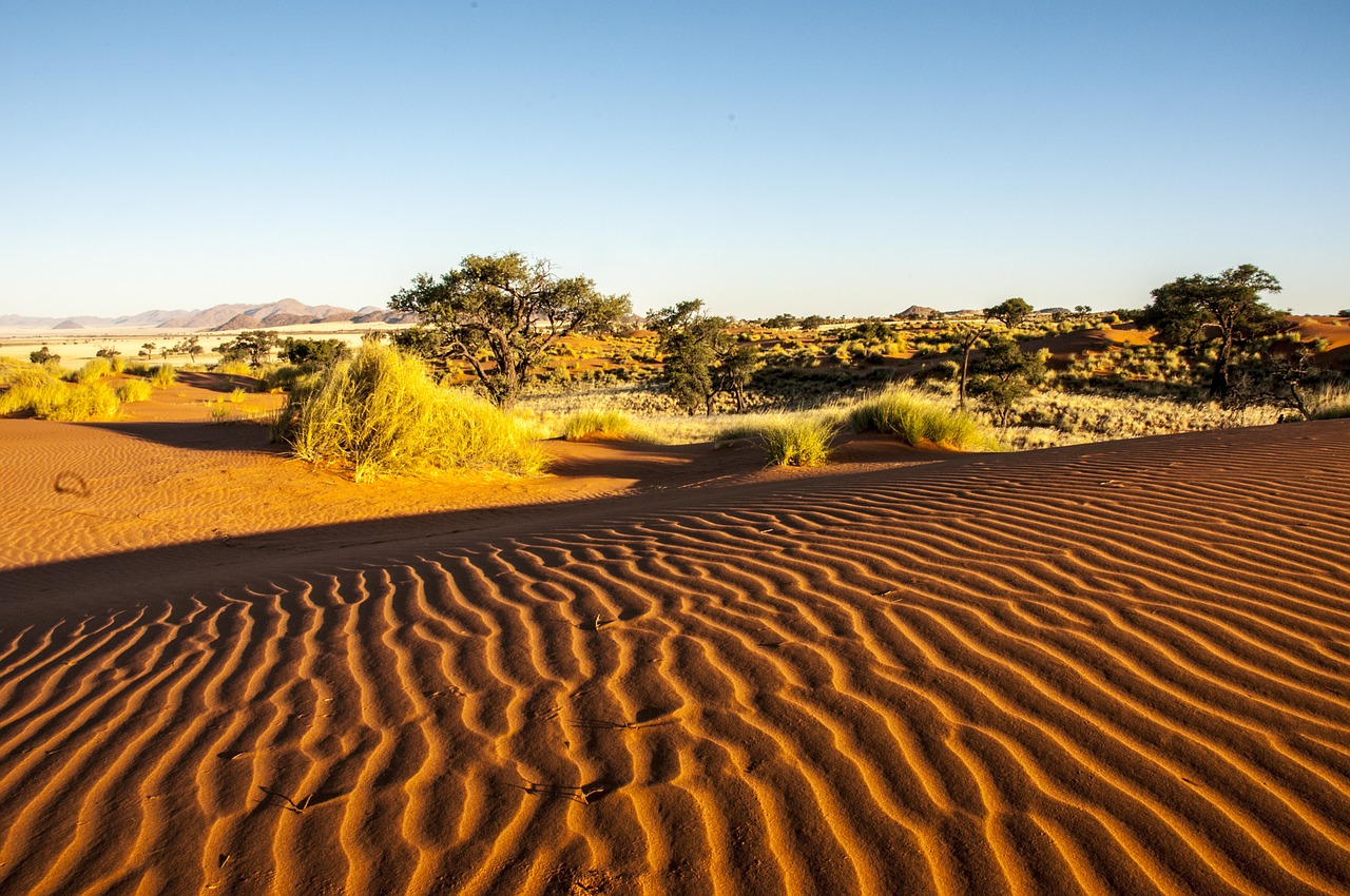 Namibija, Wolwedans, Namib Kraštas, Dykuma, Toli, Smėlis, Gamta, Kopos, Nemokamos Nuotraukos,  Nemokama Licenzija