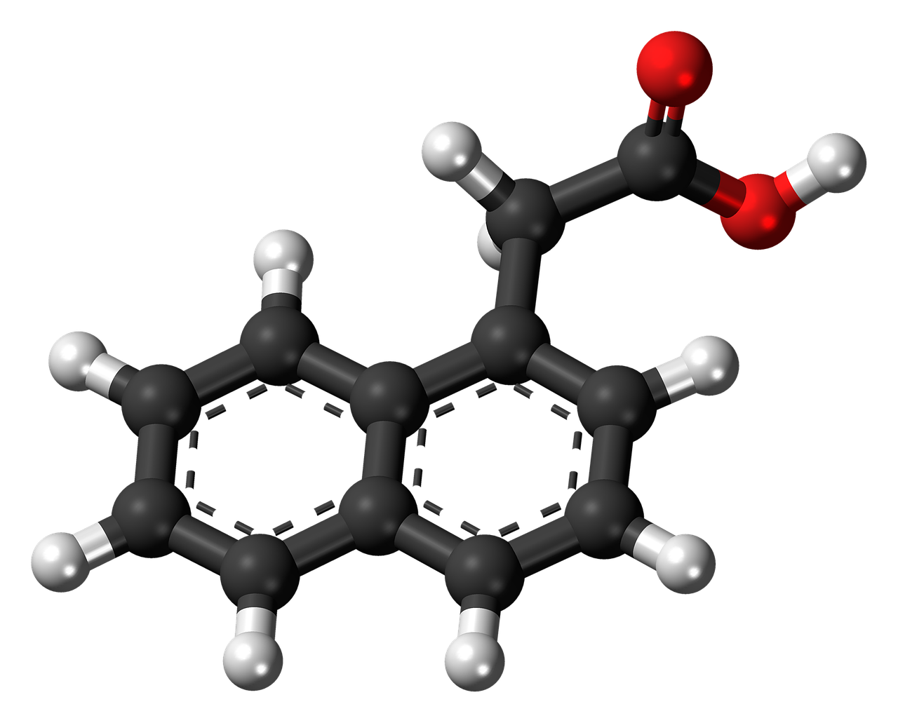 Naftaleno Acetic, Hormonas, Aromatiniai, Ciklinis, Rutulys, Stick, Modelis, Molekulė, Cheminis, Struktūra