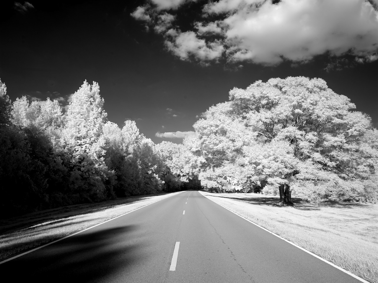 Natchez Trace Parkway, Misisipė, Tennessee, Kelias, Infraraudonieji, Jungtinės Valstijos, Usa, Amerikietis, Taikinys, 444 Mylių Kelio