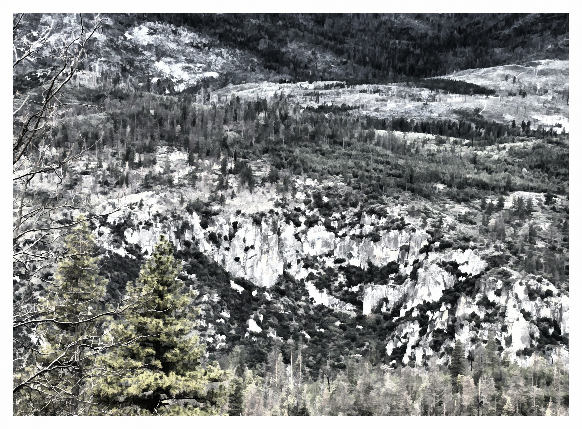 Josemitas,  Yosemitas & Nbsp,  Nacionalinis & Nbsp,  Parkas,  Kalnas,  Miškas,  Medžiai,  Pušis & Nbsp,  Medžiai,  Perspektyva