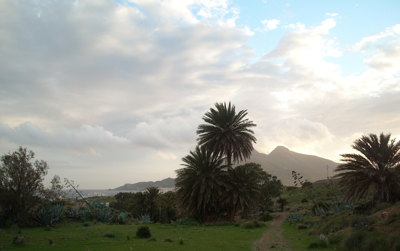 Nacionalinis Parkas, Cabo De Gata, Ispanija, Jūra, Užsakytas, Poilsis, Idilija, Palmės, Nemokamos Nuotraukos,  Nemokama Licenzija