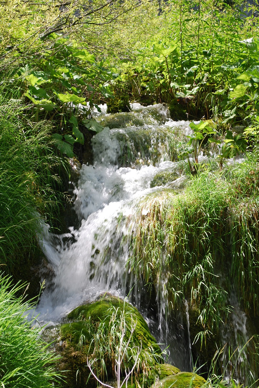 Nacionalinis Parkas Kroatija, Krioklys, Kaskados, Gamta, Plitvice Ežerai, Nemokamos Nuotraukos,  Nemokama Licenzija