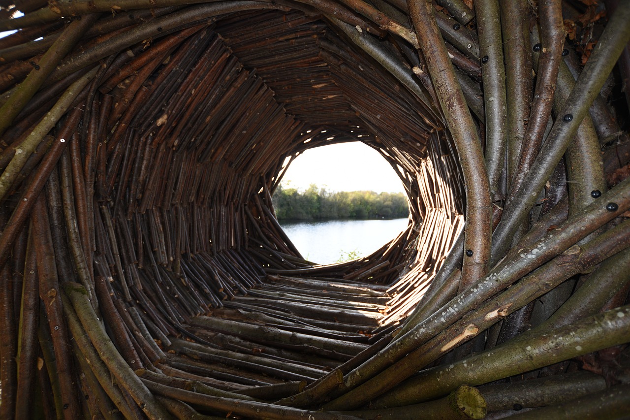 Natūrali Struktūra, Medinė Spiralė, Spiralė, Mediena, Natūralus, Tekstūra, Kraštovaizdis, Medžiaga, Architektūra, Struktūra