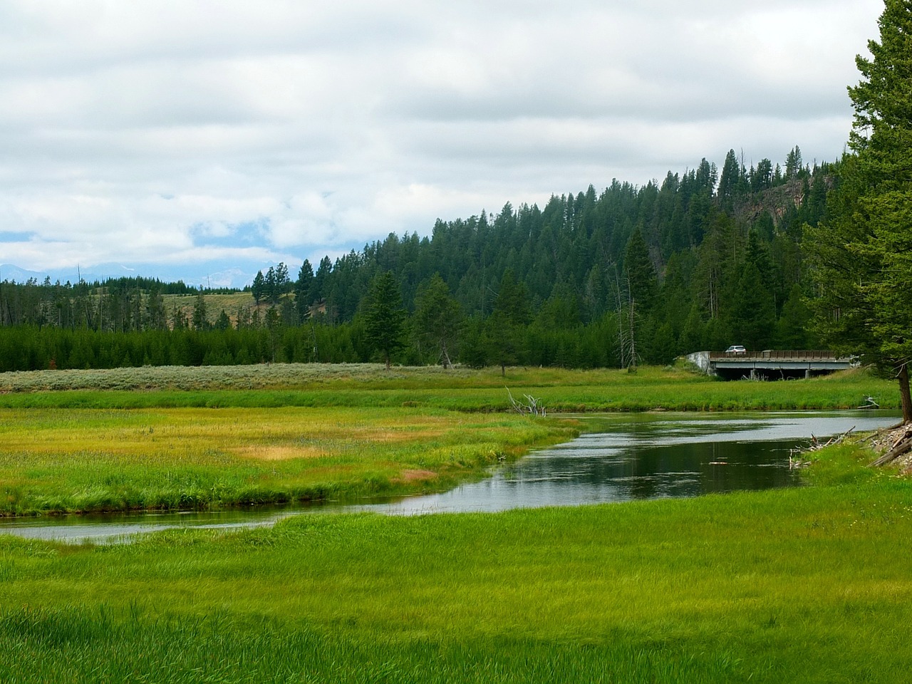 Gamta, Geltonas Akmuo, Montana, Nemokamos Nuotraukos,  Nemokama Licenzija