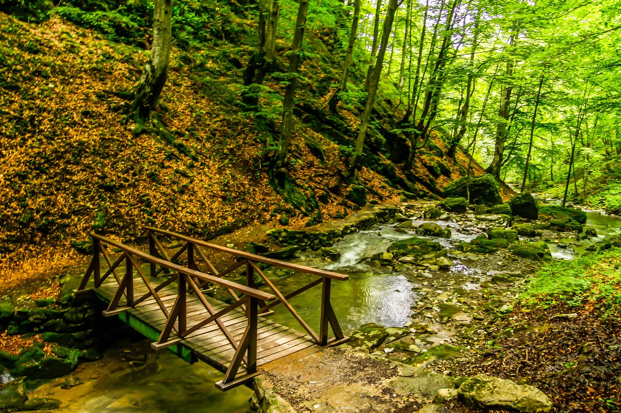 Gamta, Kraštovaizdis, Kelionė, Turizmas, Kalnas, Atostogos, Miškas, Laisvė, Turistinis, Nuotykis