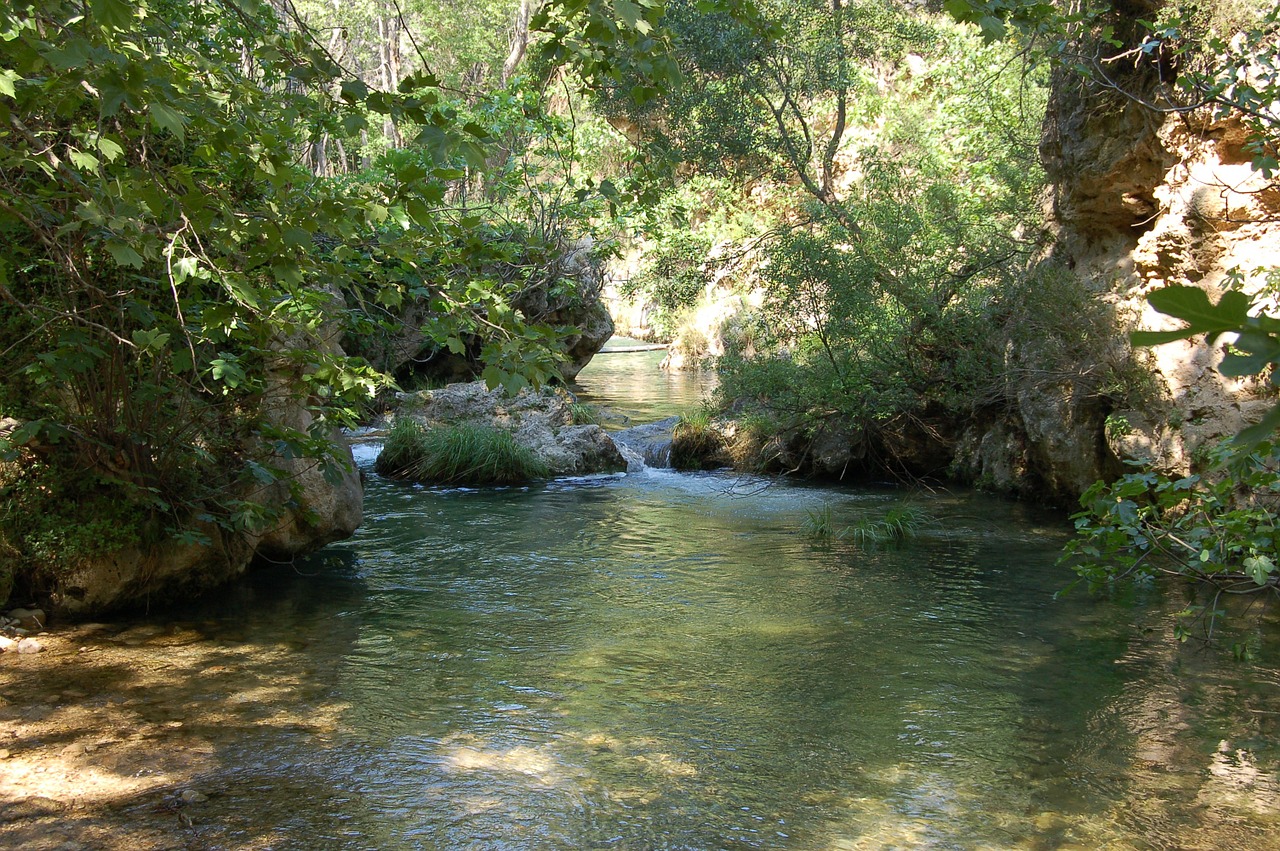 Gamta, Vanduo, Pavasaris, Upė, Medis, Miškas, Kraštovaizdis, Lauke, Žalias, Purslų