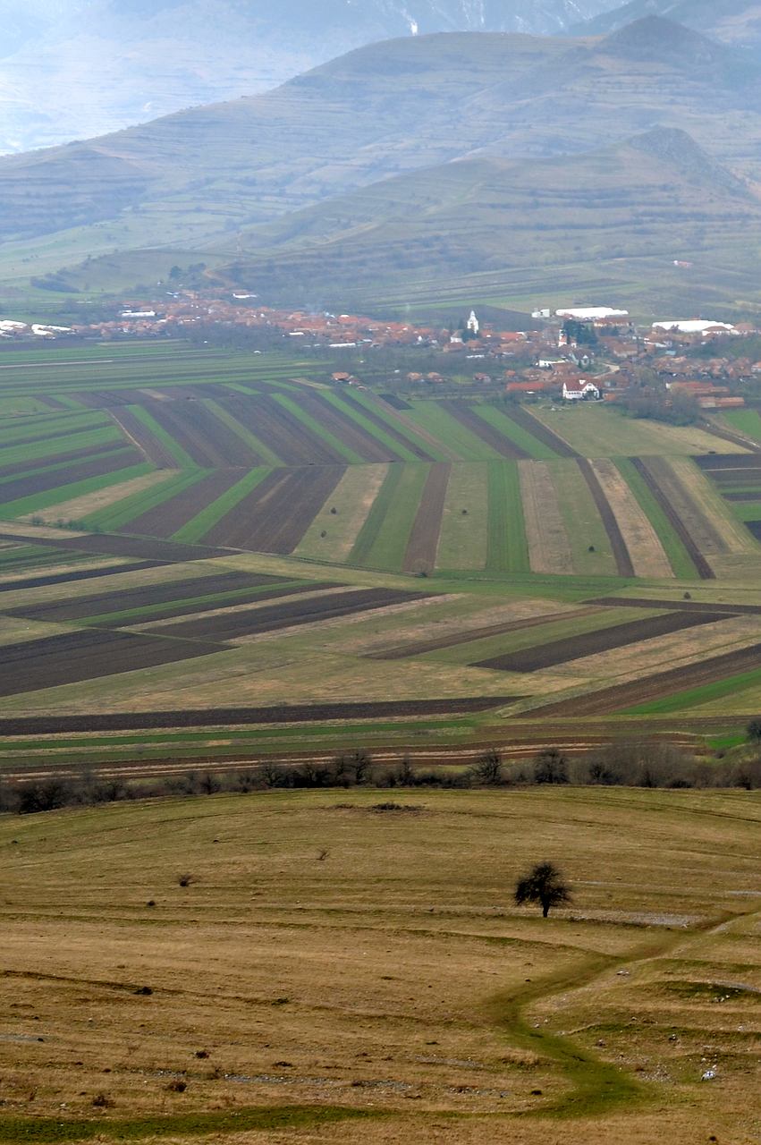 Gamta, Vaikščioti, Ramybė, Poilsis, Pavasaris, Nemokamos Nuotraukos,  Nemokama Licenzija