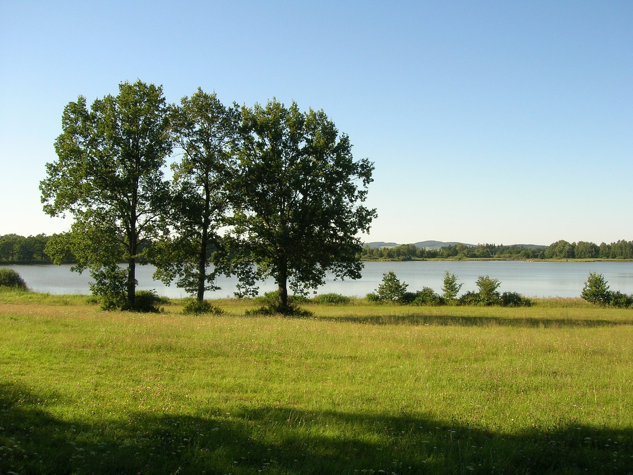 Gamta, Tvenkinys, Vandens Nuteisimas, Medžiai, Dangus, Žolė, Pietų Bohēma, Vasara, Kraštovaizdis, Nemokamos Nuotraukos