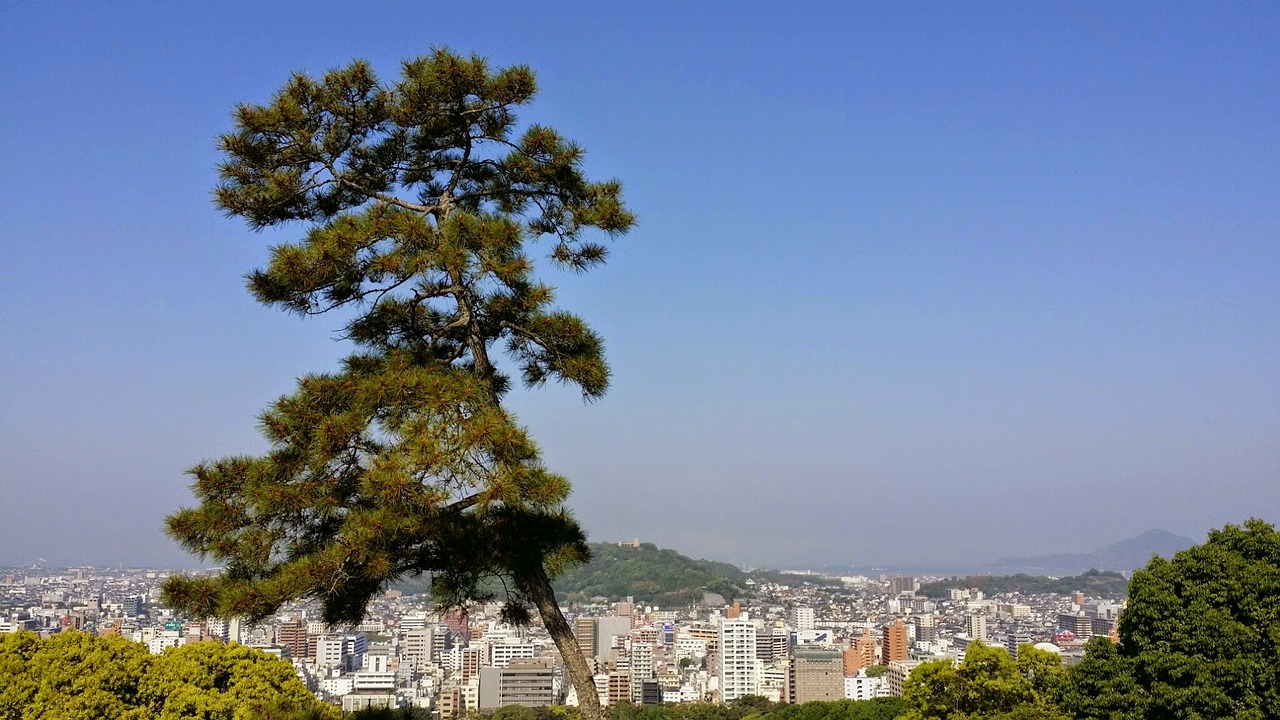 Gamta, Shikoku, Japonija, Vienišas Medis, Miesto Panorama, Panorama, Nemokamos Nuotraukos,  Nemokama Licenzija
