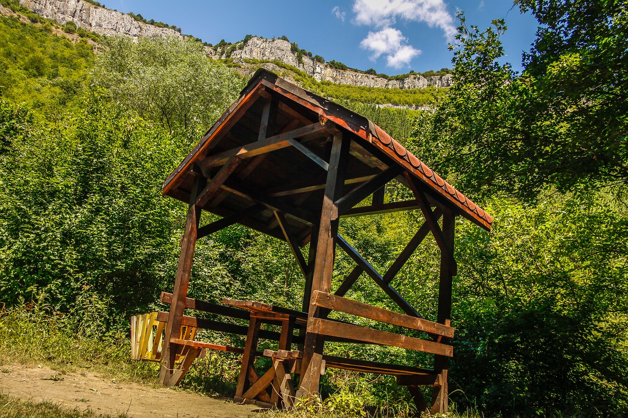 Gamta, Žalias, Miškas, Medžiai, Dangus, Vaizdas, Kalnai, Kraštovaizdis, Mediena, Vasara