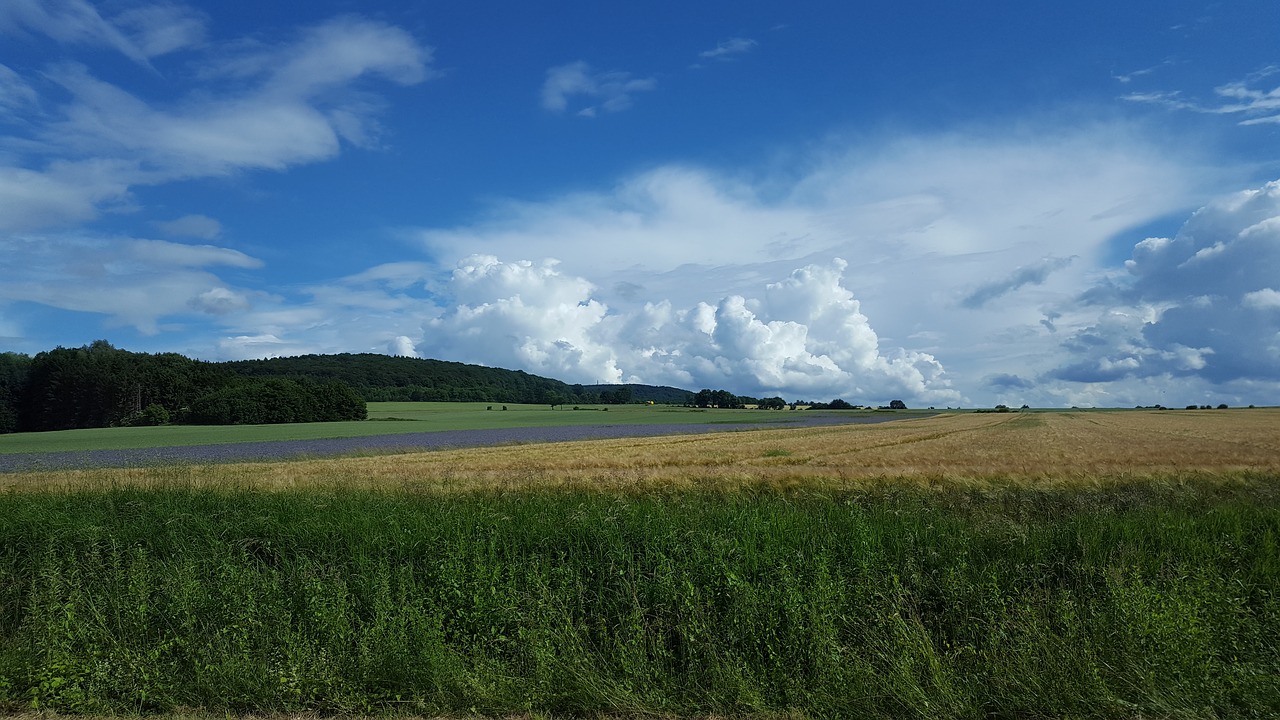 Gamta, Laukas, Medis, Saulė, Dangus, Mėlynas, Vaikščioti, Žemė, Žemdirbystė, Naudos Iš