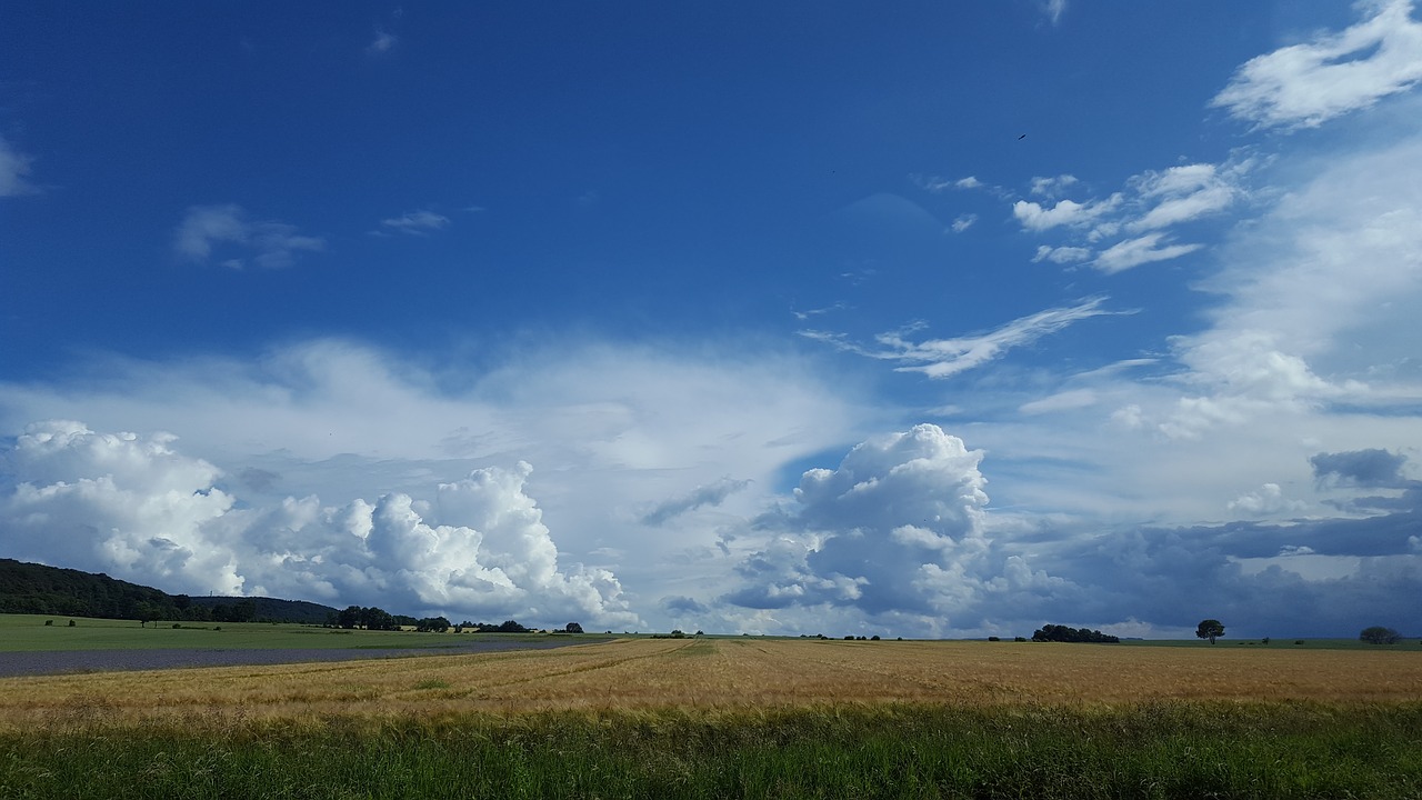 Gamta, Laukas, Medis, Saulė, Dangus, Mėlynas, Vaikščioti, Žemė, Žemdirbystė, Naudos Iš