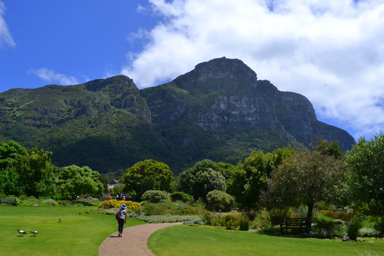 Cape Town, Pietų Afrika, Botanikos, Nemokamos Nuotraukos,  Nemokama Licenzija