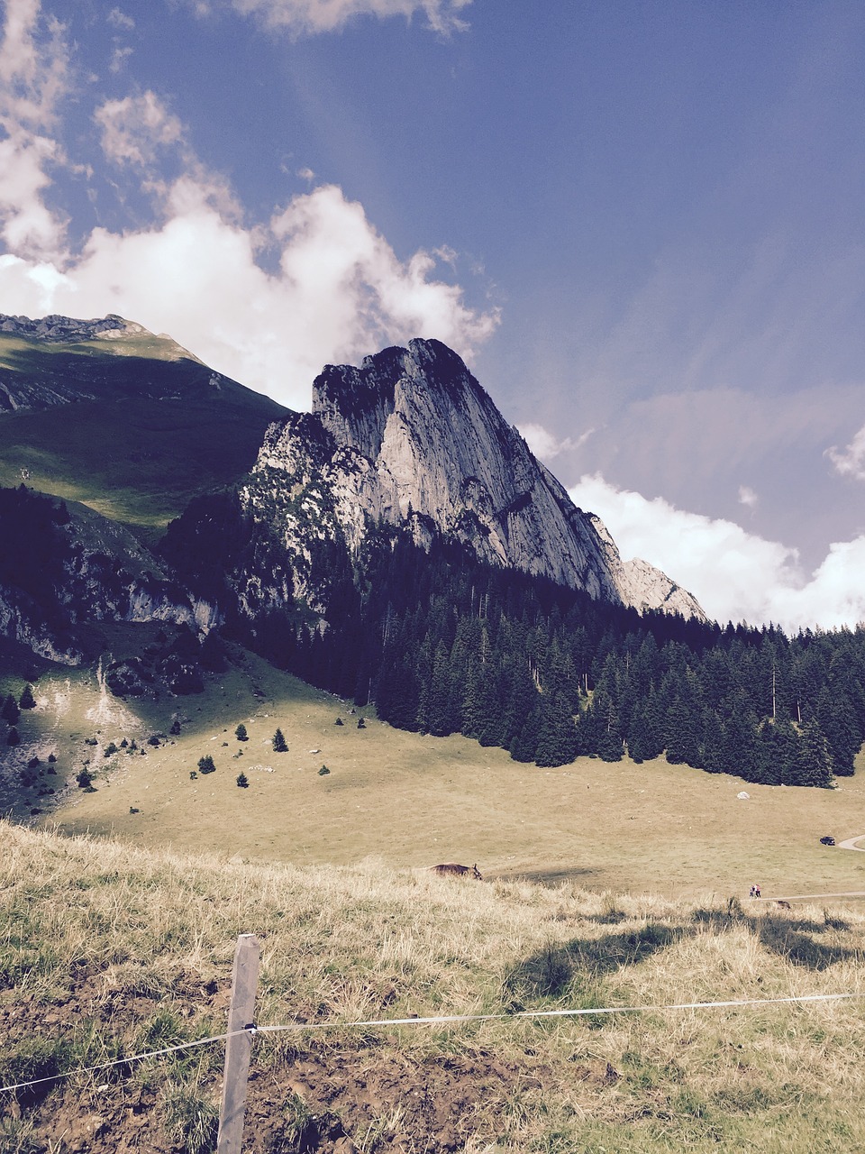 Gamta, Kalnas, Šveicarija, Nemokamos Nuotraukos,  Nemokama Licenzija
