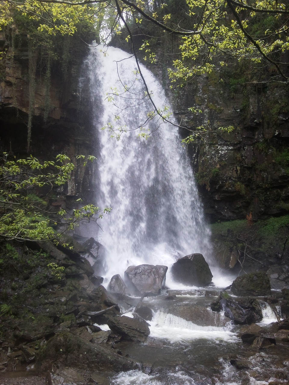 Gamta, Krioklys, Velso, Gamtos Apsauga, Melencourt Falls, Nemokamos Nuotraukos,  Nemokama Licenzija