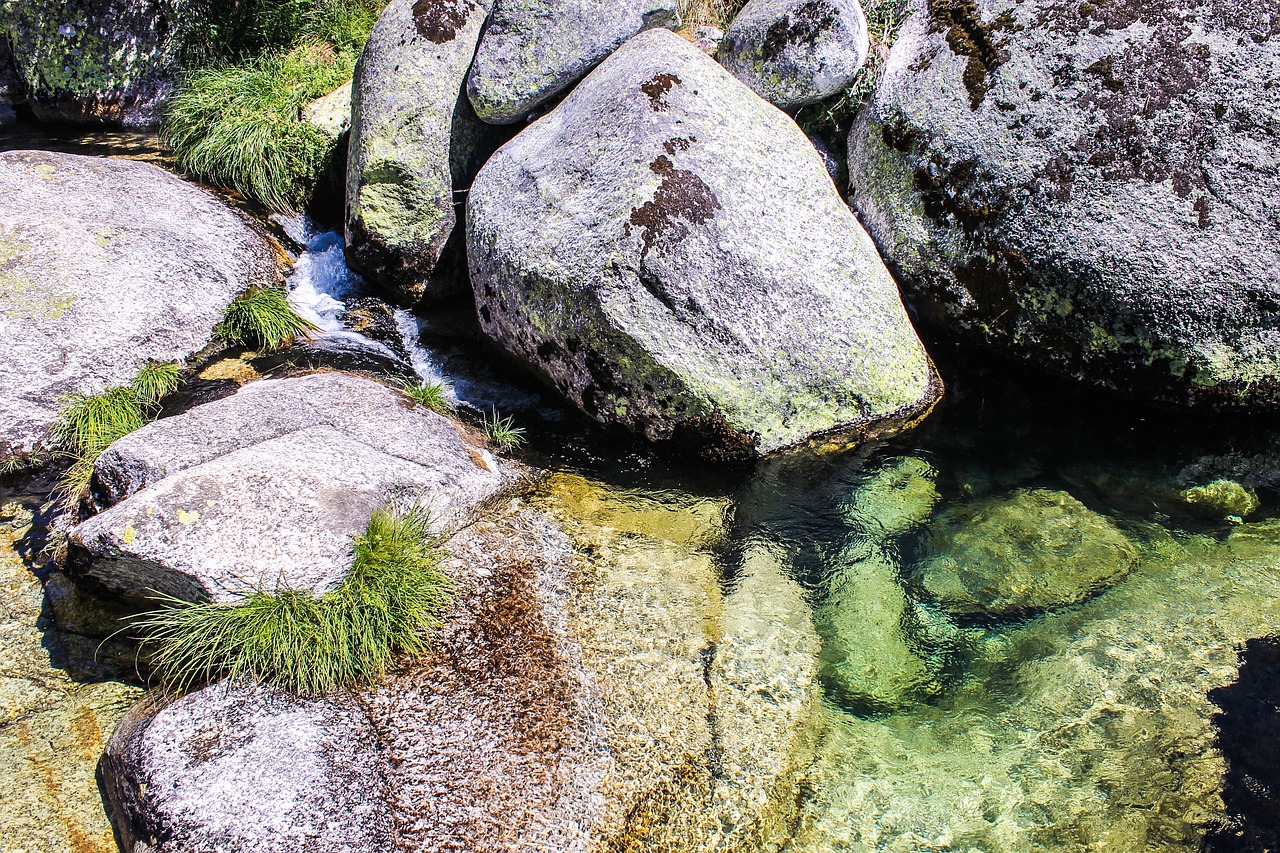 Gamta, Agua, Rio, Laukinė Gamta, Papludimys, Žalias, Kalnas, Vasara, Atostogos, Sol