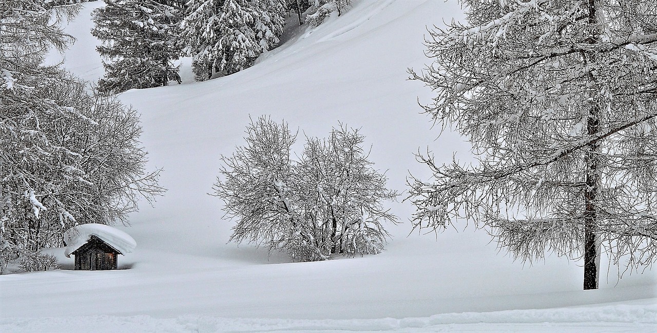 Gamta, Kraštovaizdis, Sniegas, Žiemos, Kalnas, Medis, Laukas, Nemokamos Nuotraukos,  Nemokama Licenzija