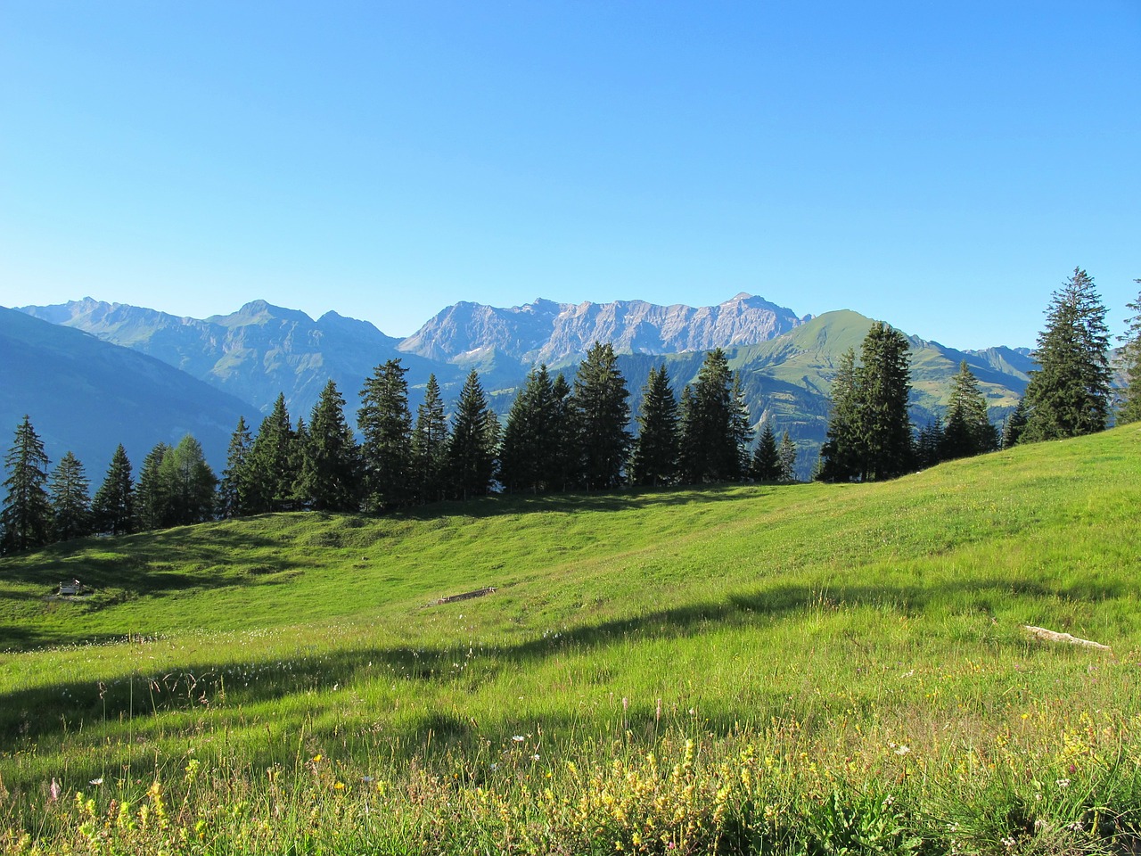 Gamta, Žalias, Kalnai, Pieva, Šveicarija, Miškas, Mėlynas, Dangus, Graubünden, Nemokamos Nuotraukos