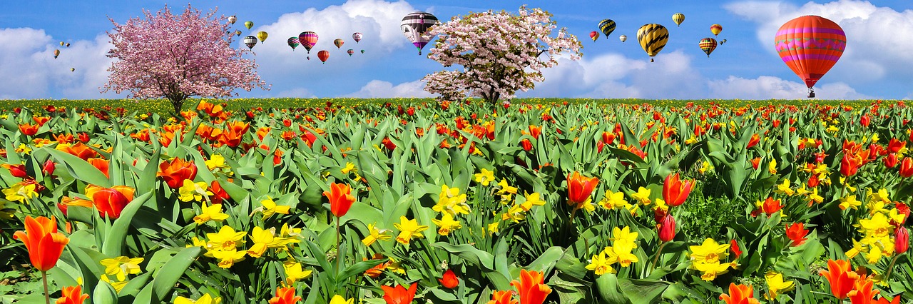 Gamta, Pavasaris, Skristi, Balionas, Gėlės, Tulpės, Narcizai, Žiedas, Pavasario Pabudimas, Pavasario Požymiai