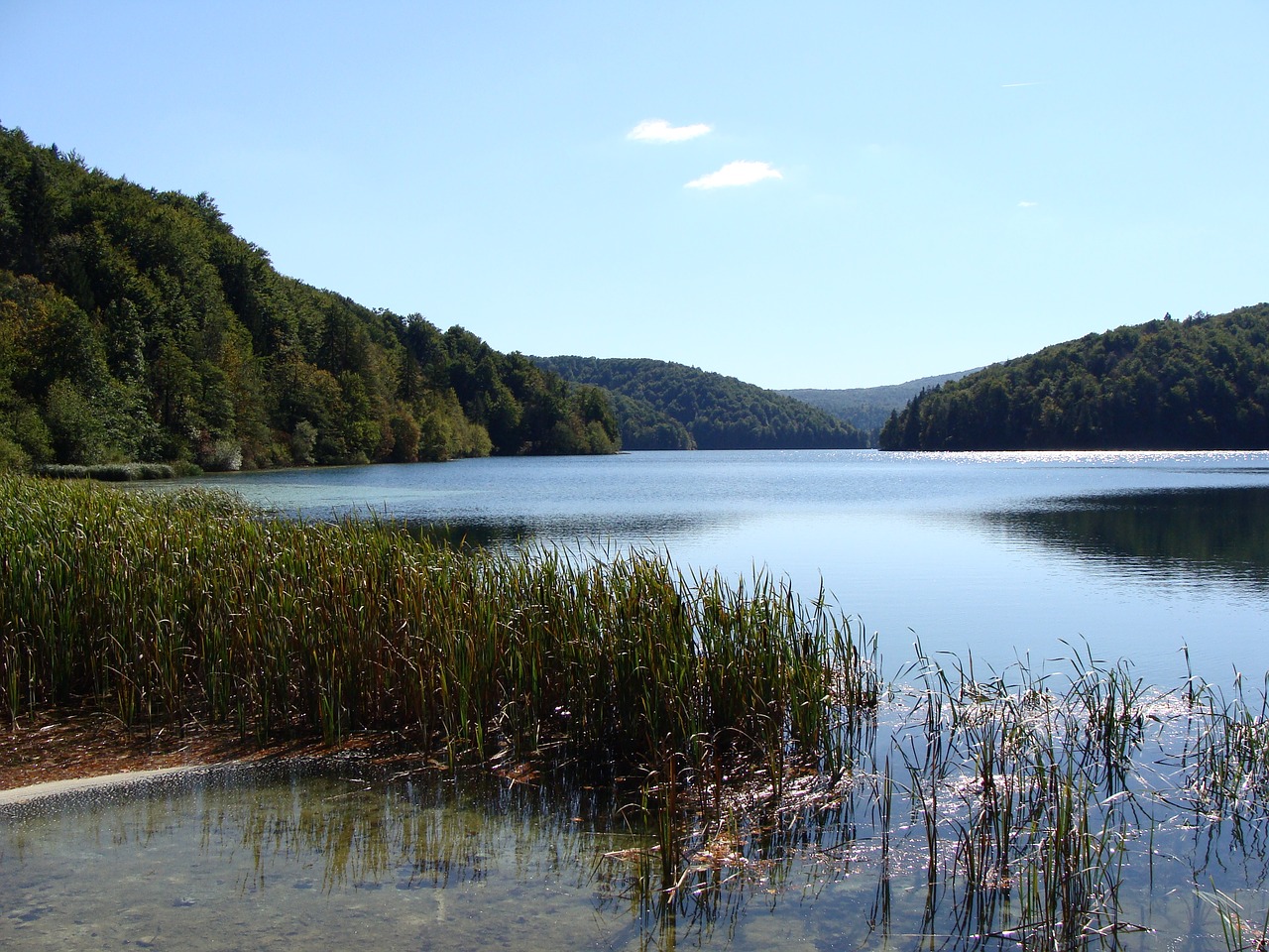 Gamta, Ežeras, Vanduo, Saulėta Diena, Atspindys, Mėlynas, Scena, Miškas, Lauke, Medis