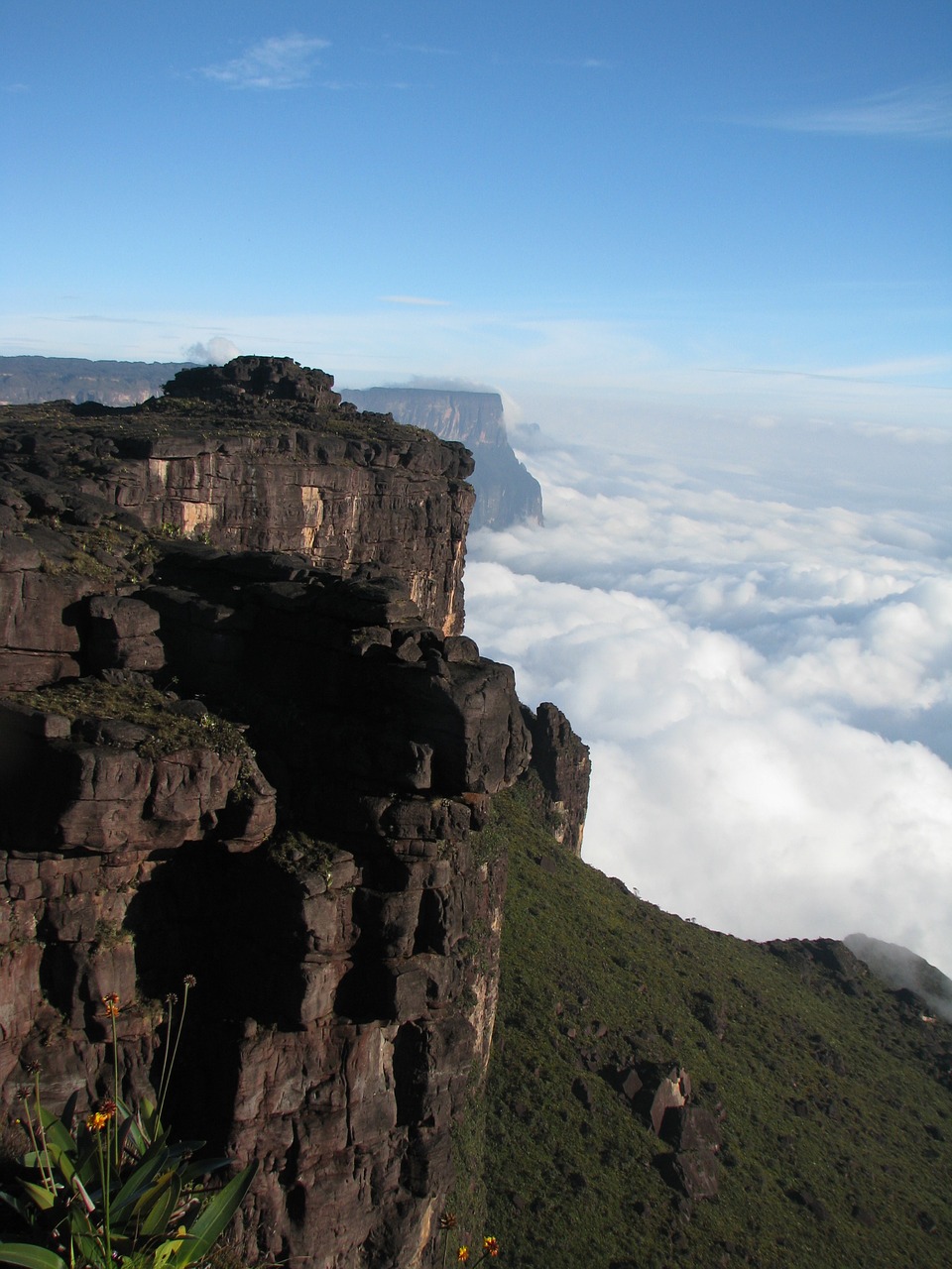 Gamta, Roraima, Canaima, Nemokamos Nuotraukos,  Nemokama Licenzija