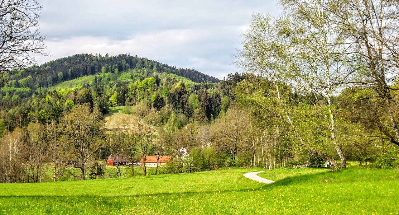 Gamta, Kraštovaizdis, Pieva, Kelias, Kalnas, Vaikščioti, Romantika, Miškas, Žolė, Krūmas