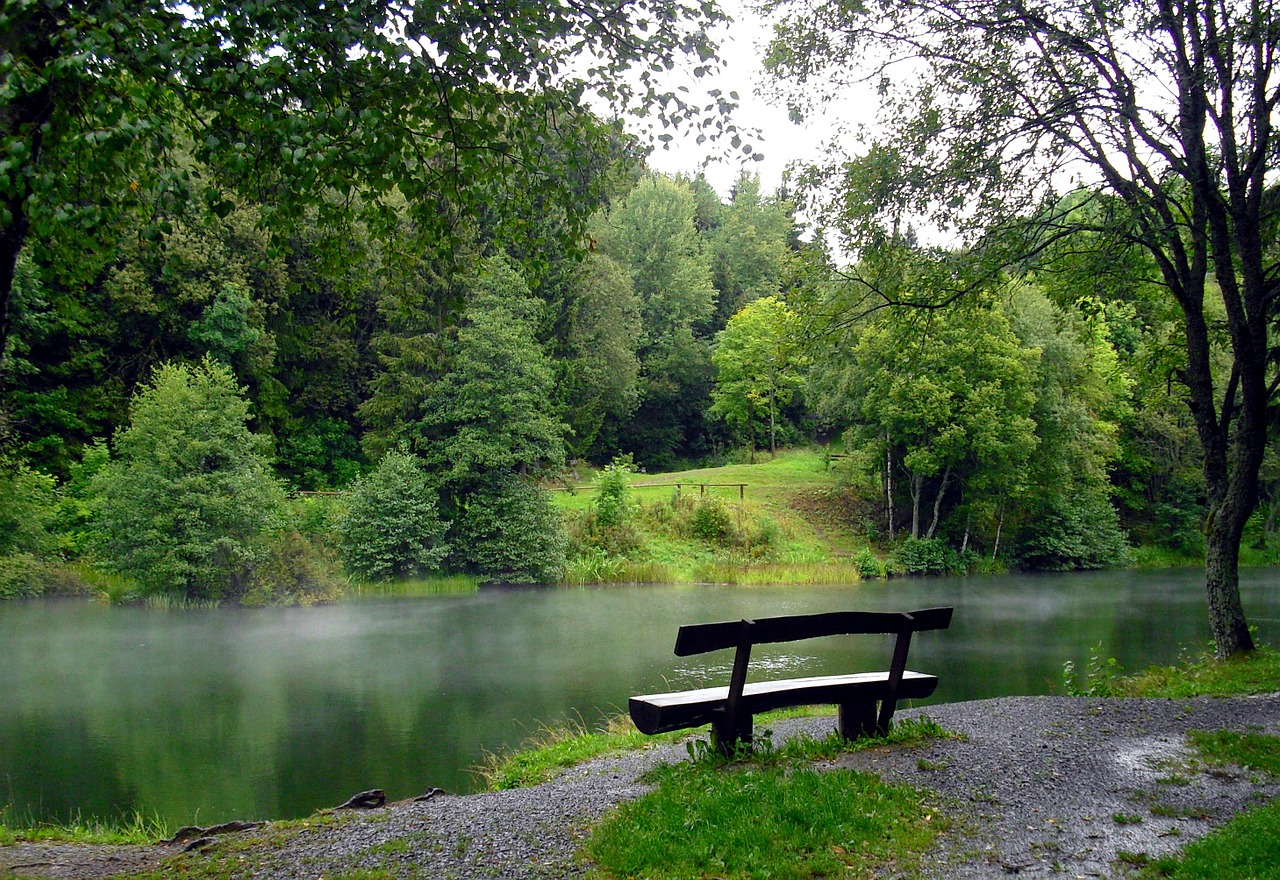 Gamta, Ežeras, Bankas, Hochrhoen, Rhön, Rūkas, Rytas, Morgenstimmung, Medžiai, Žygiai