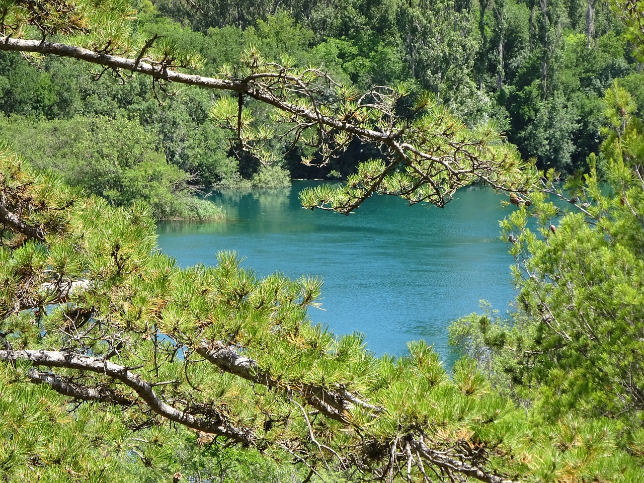 Gamta, Vanduo, Kraštovaizdis, Ežeras, Upė, Žalias, Medžiai, Perspektyva, Kirka, Kroatija