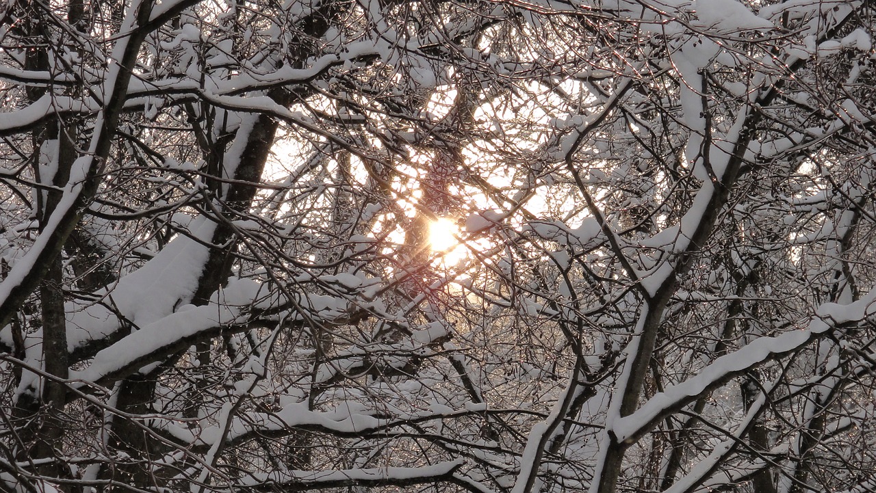 Gamta, Žiema, Kraštovaizdis, Sniegas, Medžiai, Šaltas, Medis, Snowdrift, Saulėlydis, Rusija