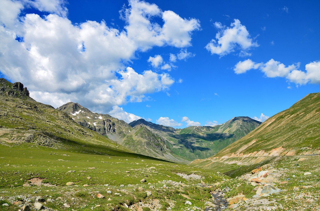 Gamta, Pavasaris, Gėlės, Pavasario Gėlės, Žalias, Kraštovaizdis, Gražus, Spalva, Augalas, Turkija