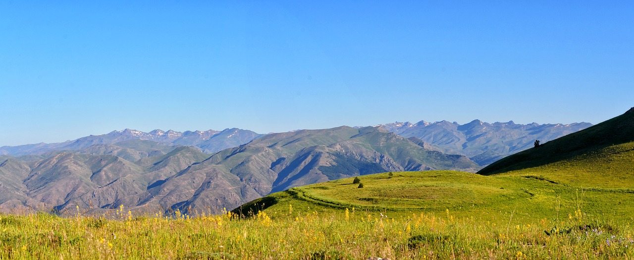 Gamta, Turkija, Kraštovaizdis, Kraštovaizdžio Gamta, Kaçkars, Natūralus Kalakutas, Ganyklos, Natur, Aukštas, Highland