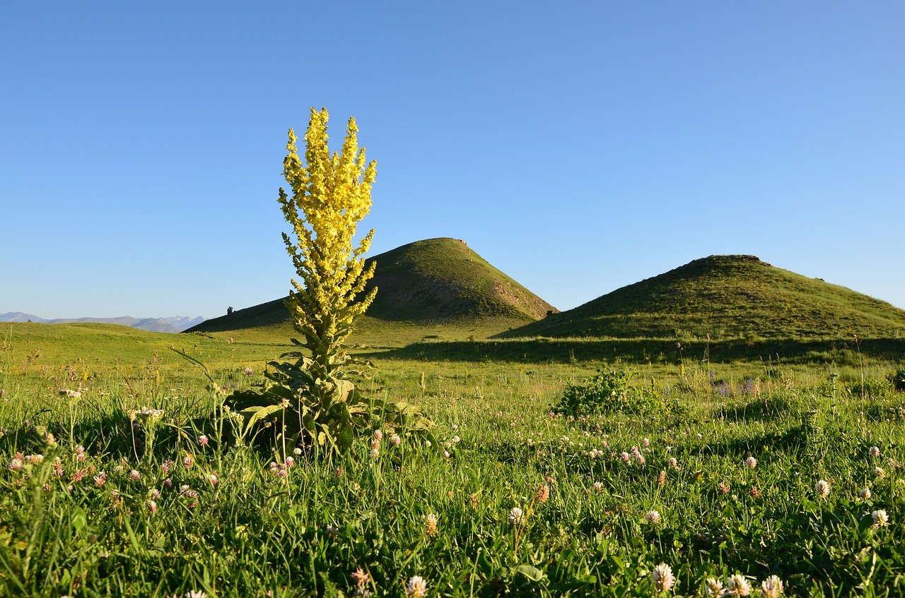 Gamta, Turkija, Kraštovaizdis, Kraštovaizdžio Gamta, Kaçkars, Natūralus Kalakutas, Ganyklos, Natur, Aukštas, Highland