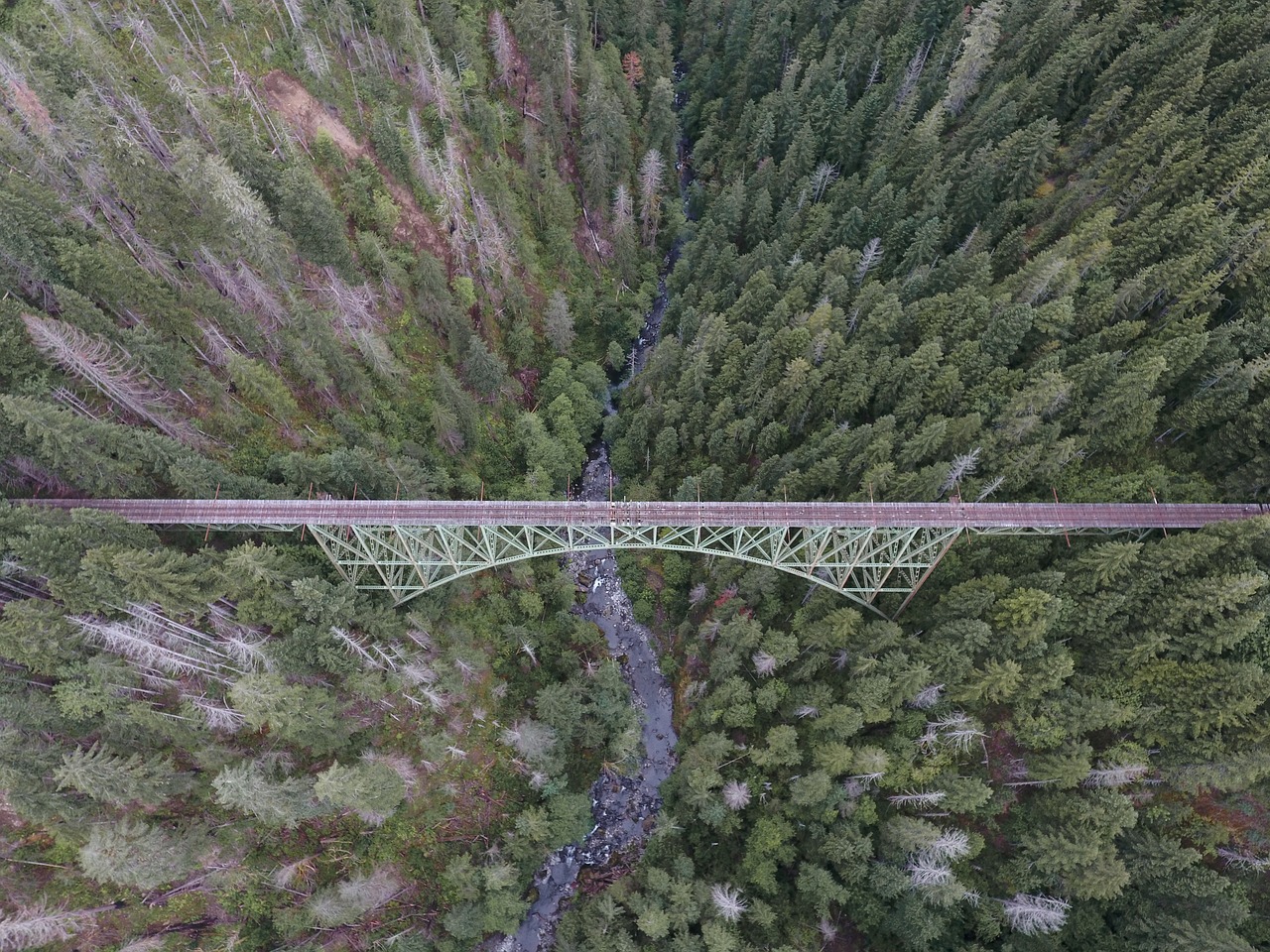 Gamta, Kraštovaizdis, Antena, Kelionė, Nuotykis, Tiltas, Infrastruktūra, Medžiai, Lapai, Miškai