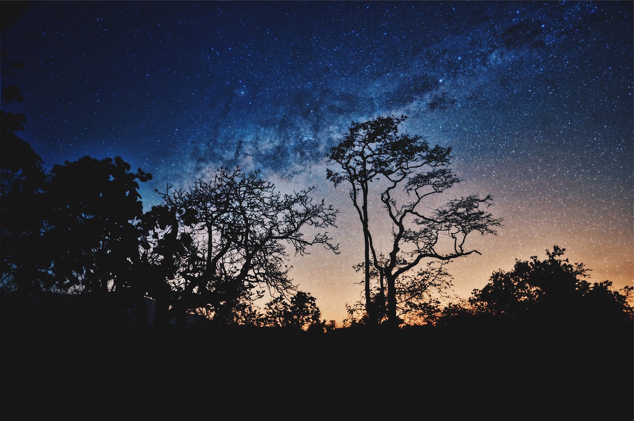 Gamta, Kraštovaizdis, Medžiai, Kalnas, Žvaigždės, Tamsi, Naktis, Stargazing, Astrofotografija, Šešėlis