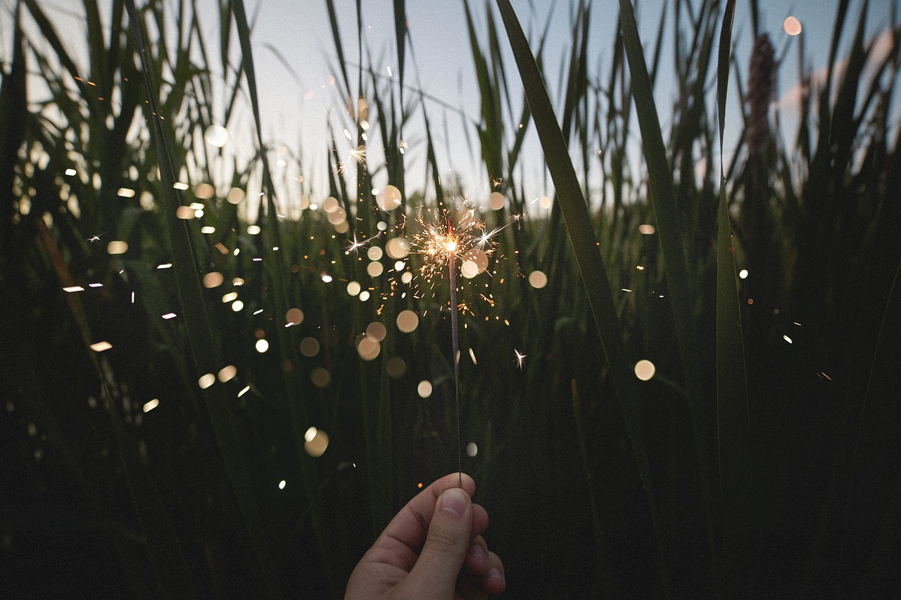 Gamta, Laukas, Žolė, Lapai, Asmuo, Ranka, Laikyti, Sparklers, Fejerverkai, Spindesys