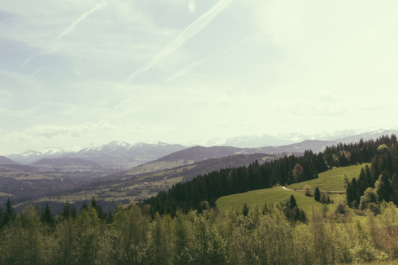 Gamta, Kraštovaizdis, Kalnai, Aukščiausiojo Lygio Susitikimas, Smailės, Prairie, Žolė, Miškas, Medžiai, Dangus