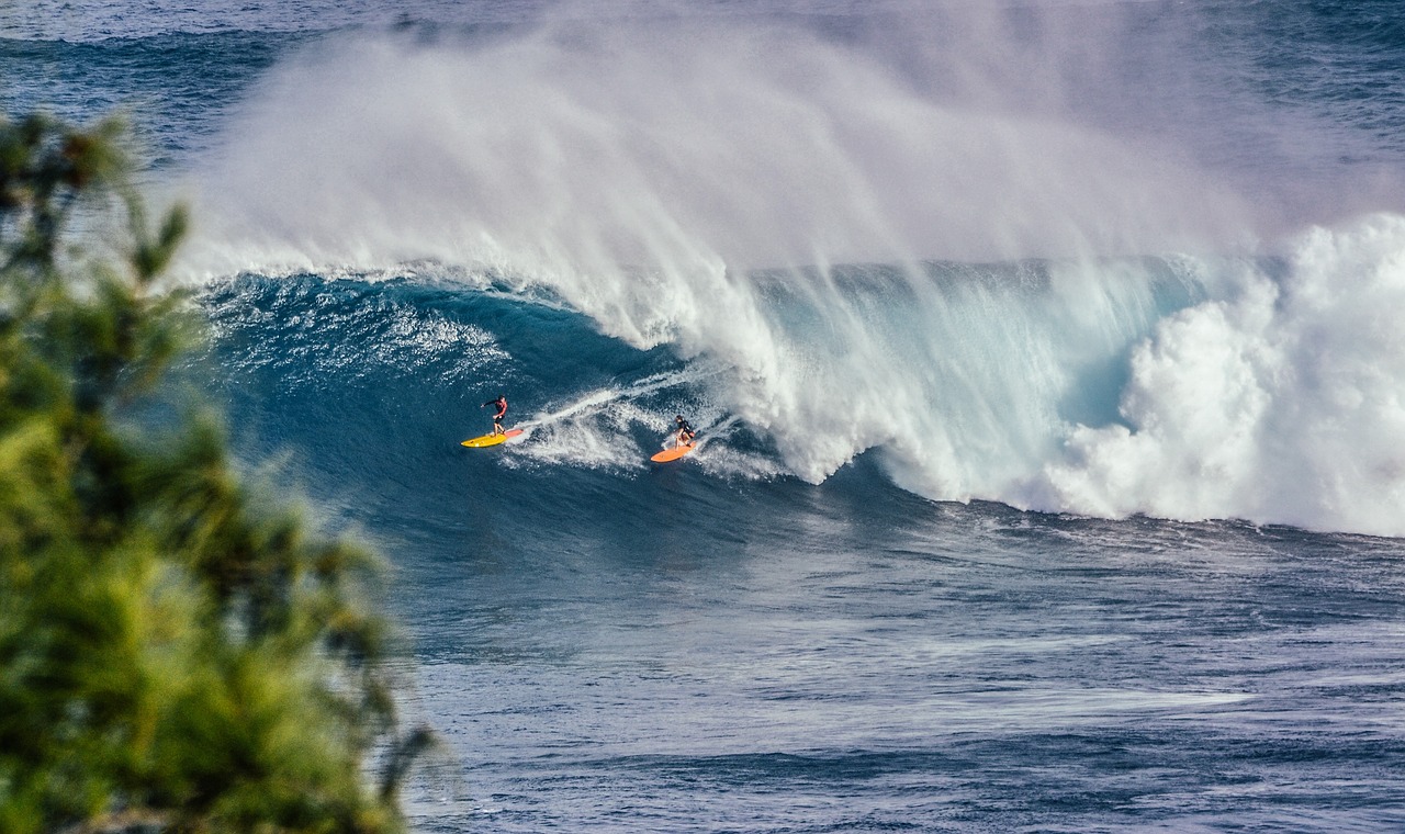 Gamta, Vanduo, Vandenynas, Jūra, Bangos, Cunamis, Purslų, Tunelis, Naršyti, Surfer