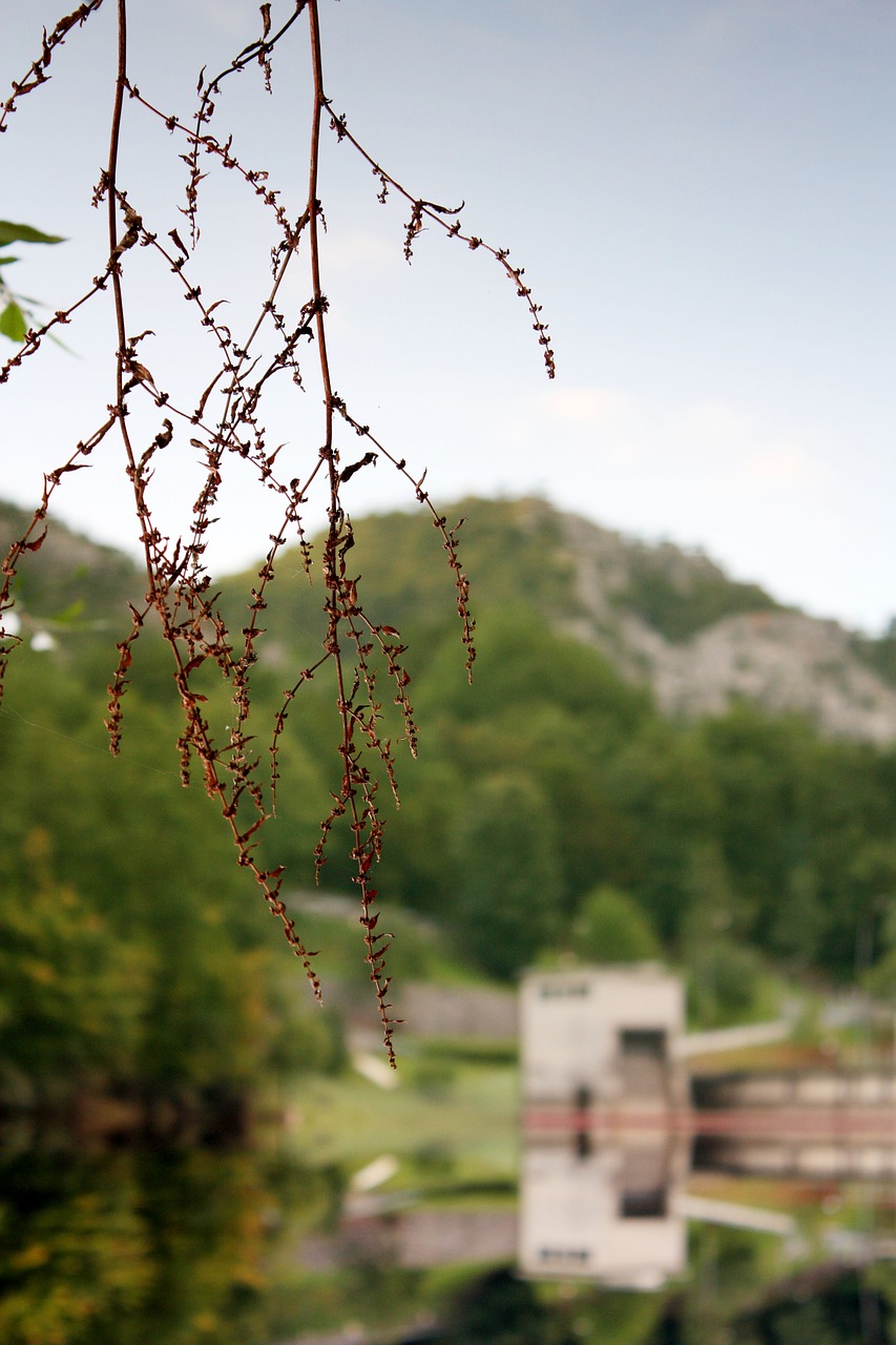 Gamta, Architektūra, Parkas, Romantiškas, Kelionė, Kraštovaizdis, Žalias, Ruduo, Medis, Filialas