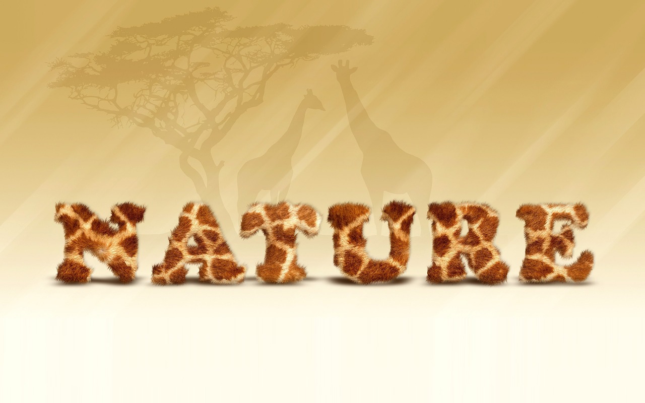 Gamta, Žirafa, Afrika, Kraštovaizdis, Medis, Vasara, Nemokamos Nuotraukos,  Nemokama Licenzija