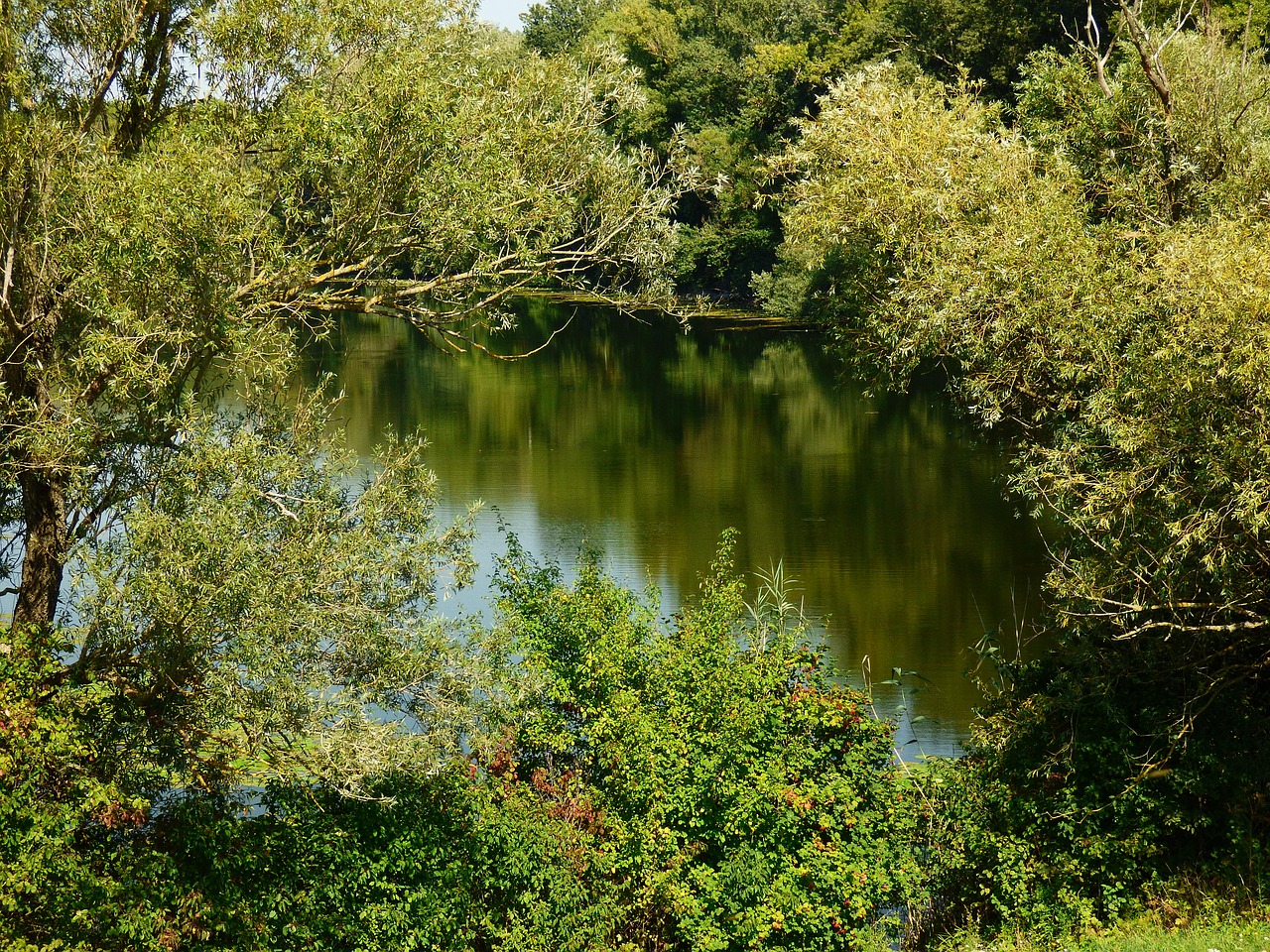 Gamta, Šalis, Vanduo, Medžiai, Čičovské, Ranka, Danubės Upė, Slovakija, Danube, Pievos