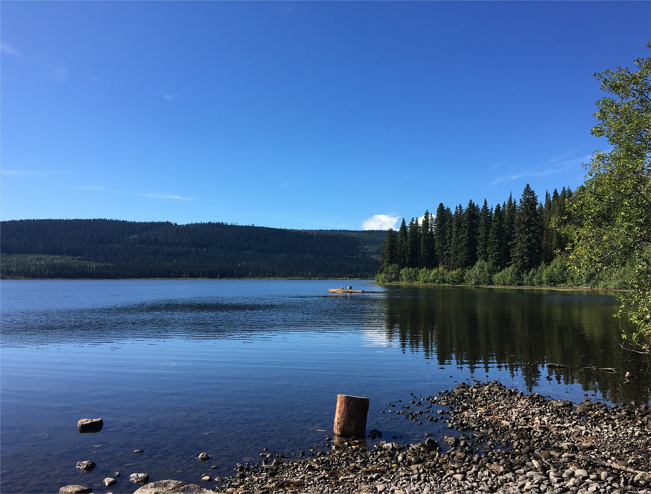 Gamta, Darbo Dieną, Darbo Diena, Rugpjūtis, Lauke, Ežeras, Britų Kolumbija, Bc, Šventė, Mėlynas