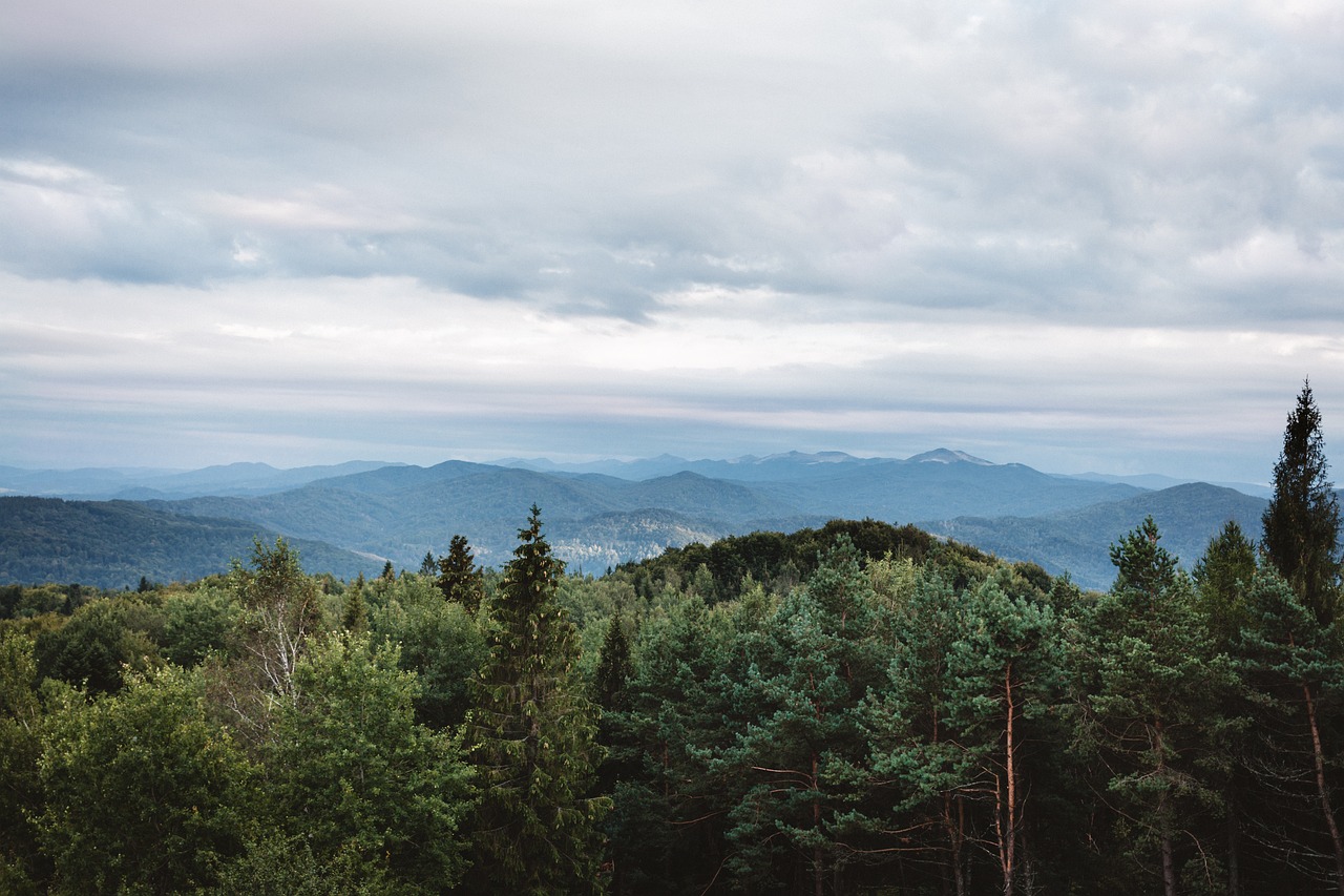 Gamta, Popietė, Ruduo, Bieszczady, Neryškus, Debesys, Debesuota, Kritimas, Laukas, Laukai