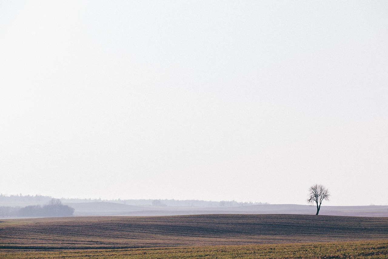 Gamta, Vienas, Ruduo, Debesys, Debesuota, Kopijuoti Erdvę, Šalis, Tuščia, Kritimas, Laukas