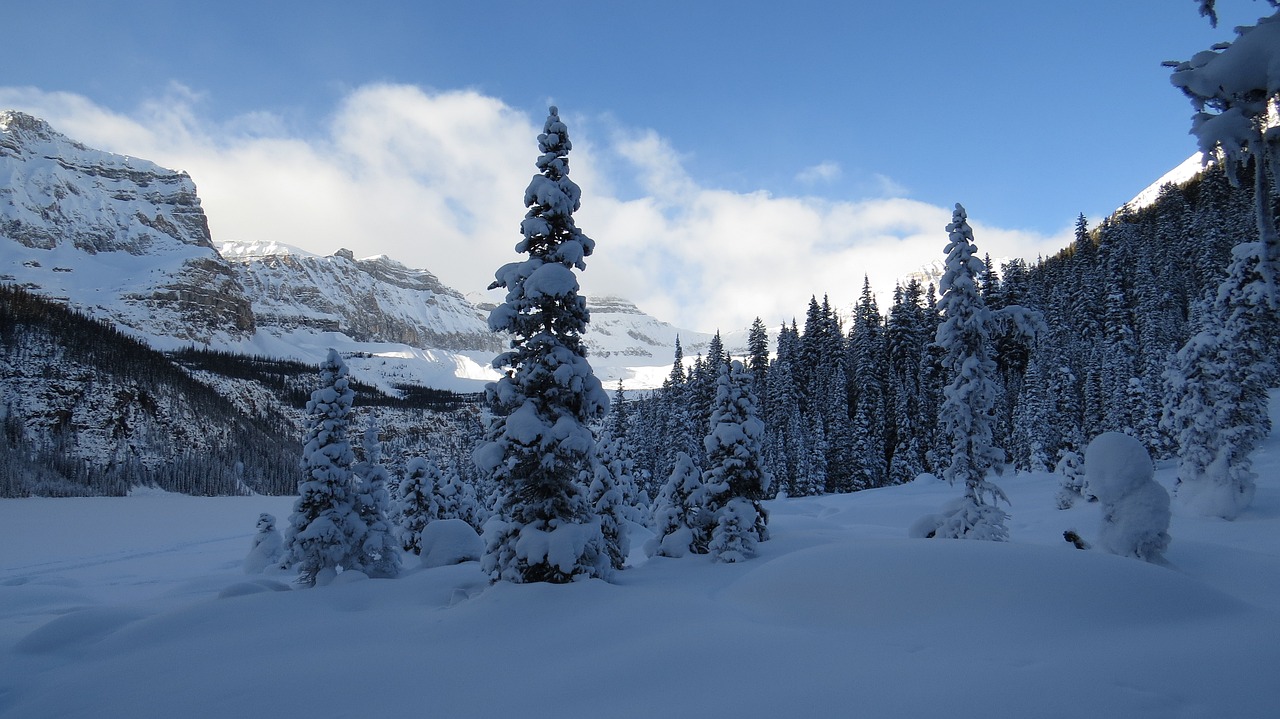 Gamta, Alberta, Kanada, Žiema, Banff, Nacionalinis Parkas, Nemokamos Nuotraukos,  Nemokama Licenzija