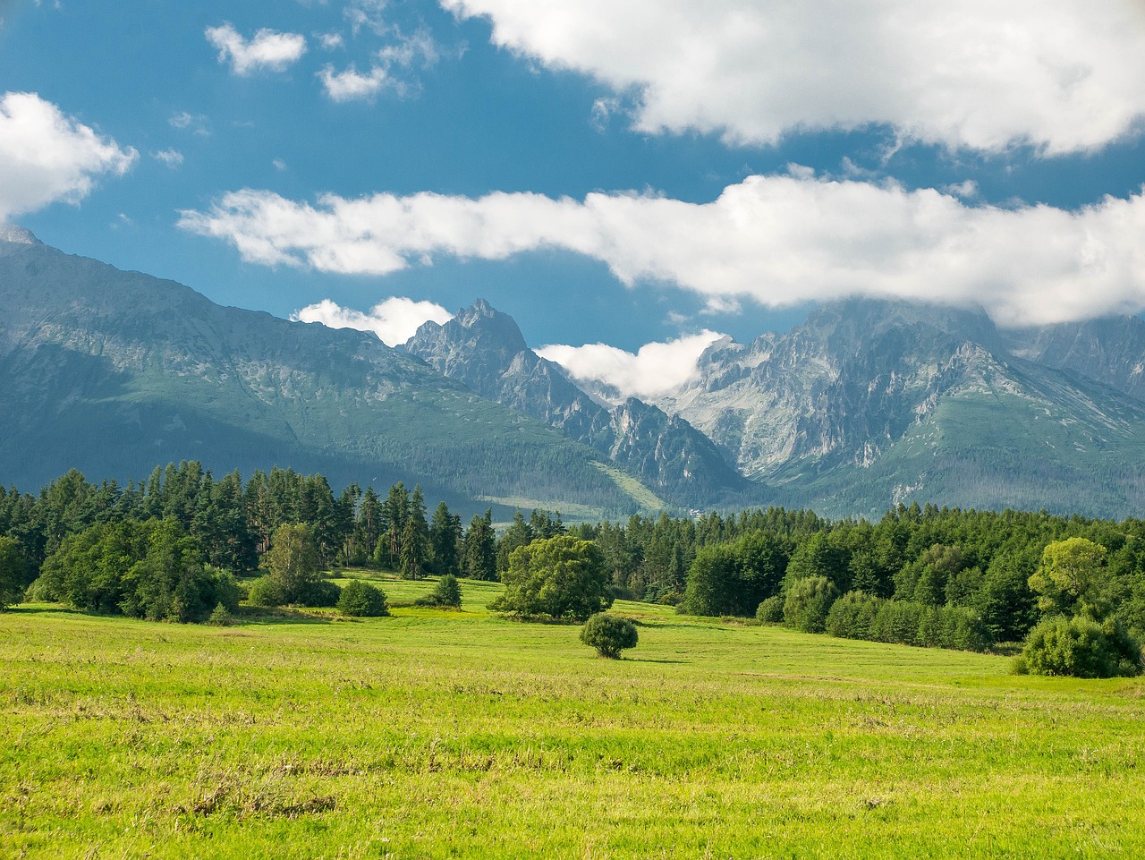 Gamta, Medžiai, Miškai, Tatry, Kalnai, Kalnas, Pieva, Šalis, Dangus, Miškas