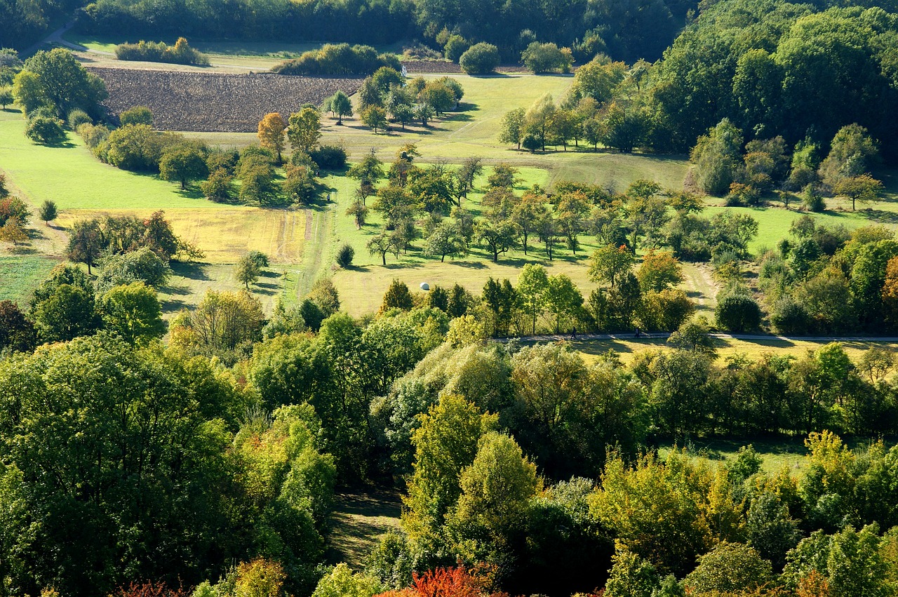 Gamta, Medis, Kraštovaizdis, Kalnas, Vasara, Kelionė, Panorama, Žemdirbystė, Kaimas, Vaizdingas