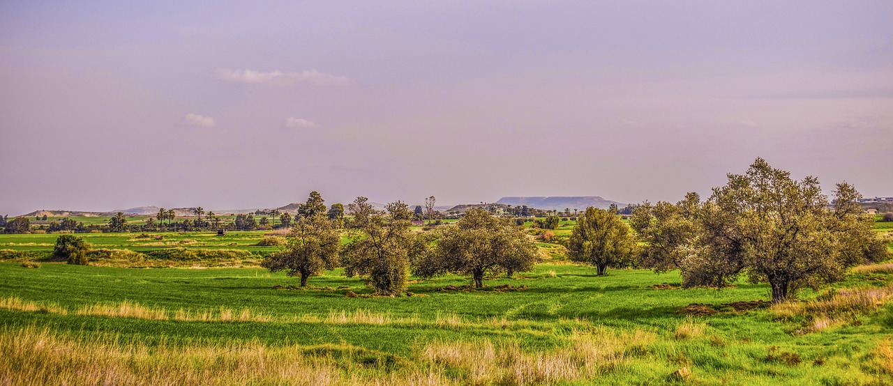 Gamta, Žolė, Žemdirbystė, Kaimas, Panoraminis, Kraštovaizdis, Kaimas, Laukas, Medis, Dangus