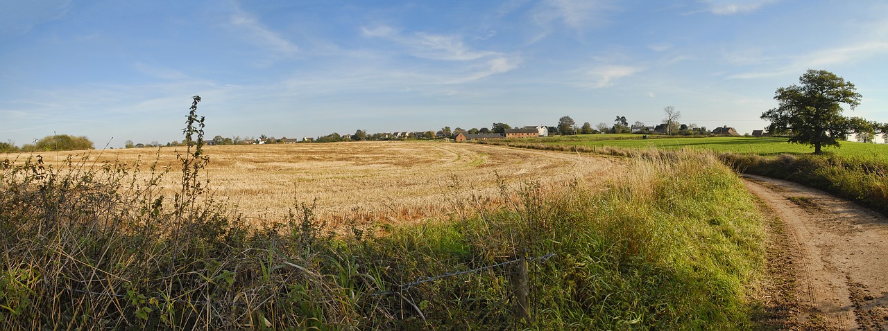 Gamta, Panoraminis, Kraštovaizdis, Laukas, Dangus, Vasara, Kaimas, Žemdirbystė, Kaimas, Lauke