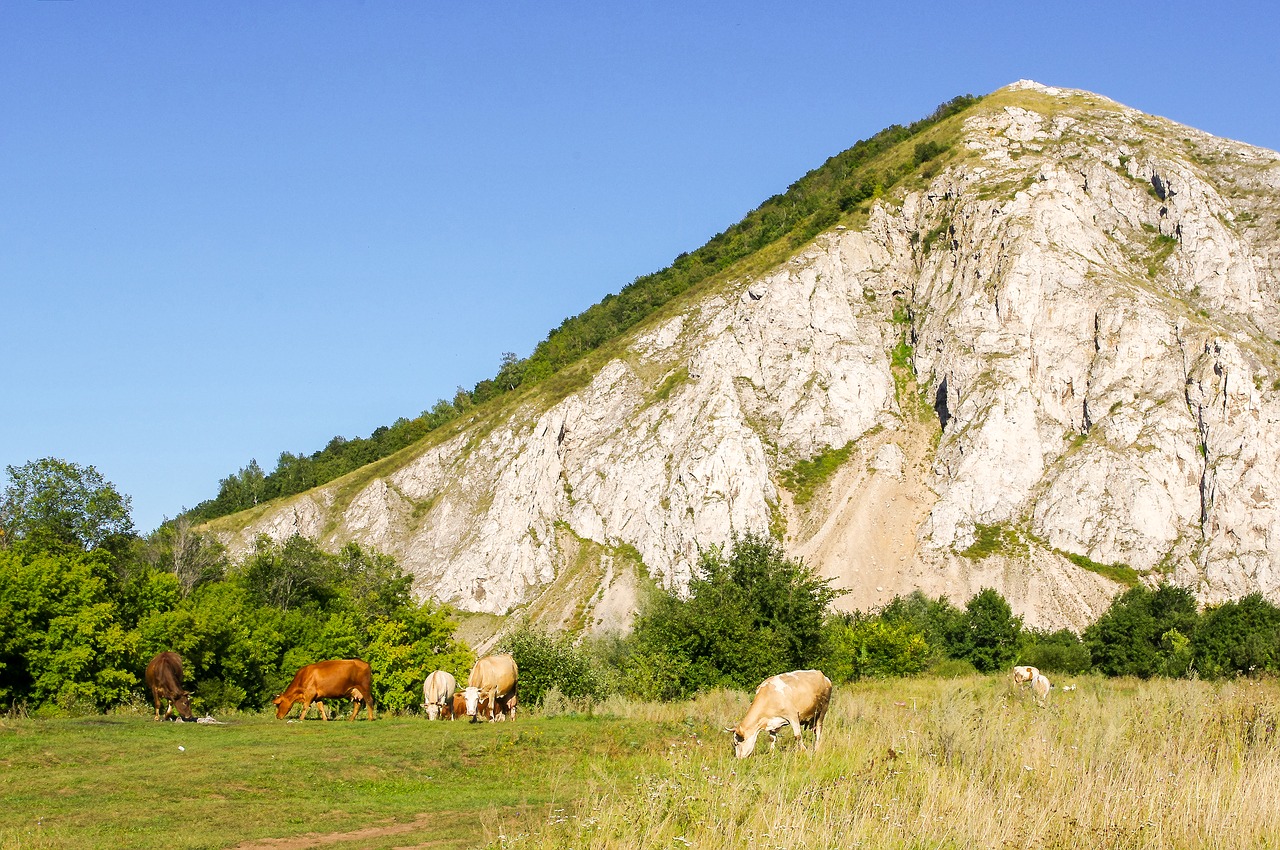 Gamta, Kraštovaizdis, Žolė, Dangus, Lauke, Vasara, Akmuo, Kalnas, Kalnas, Kelionė